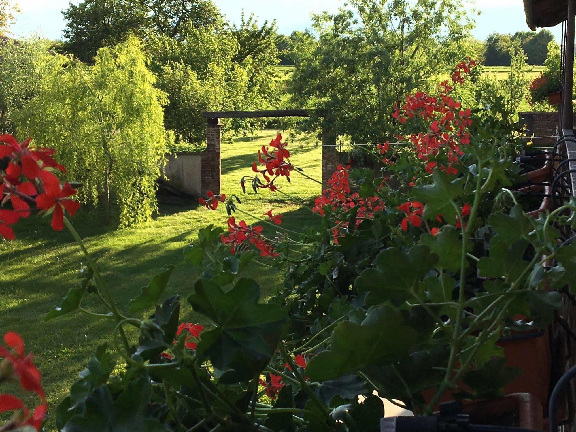 Quattro Gatti Bed and Breakfast Airasca Eksteriør billede